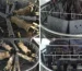 automatic-wave-solder-fixture-cleaning-machine